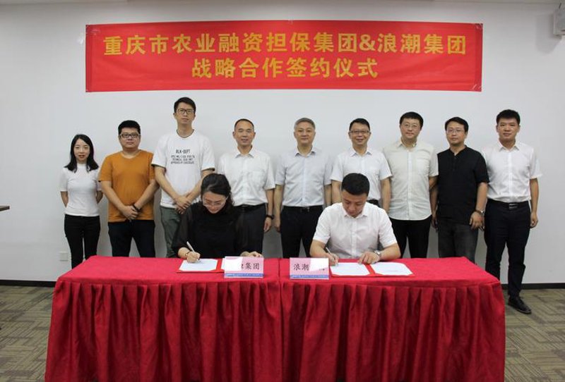 从‘三峡担保’案例看小微企业融资难题与解决方案